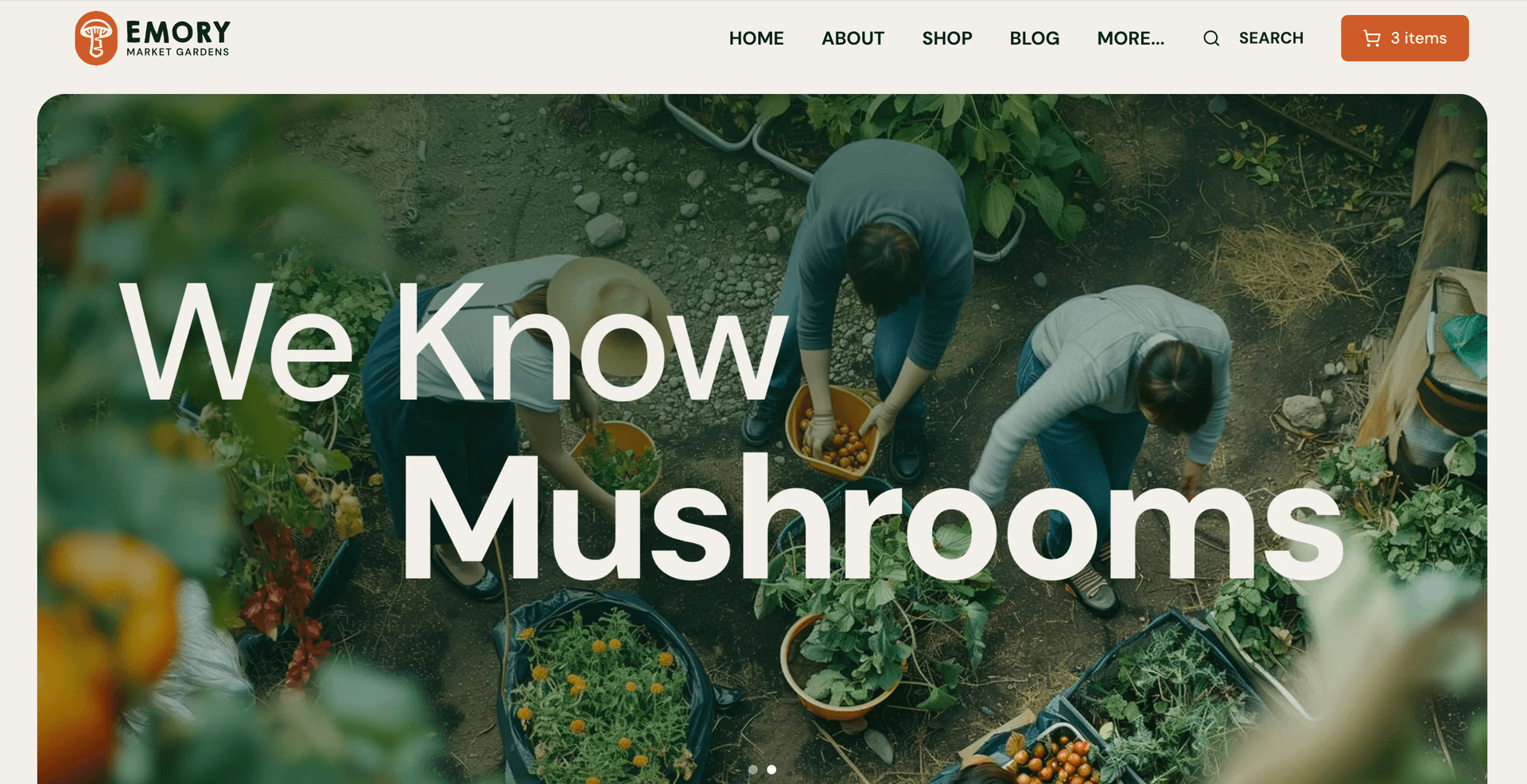 Emory Market Gardens main page image